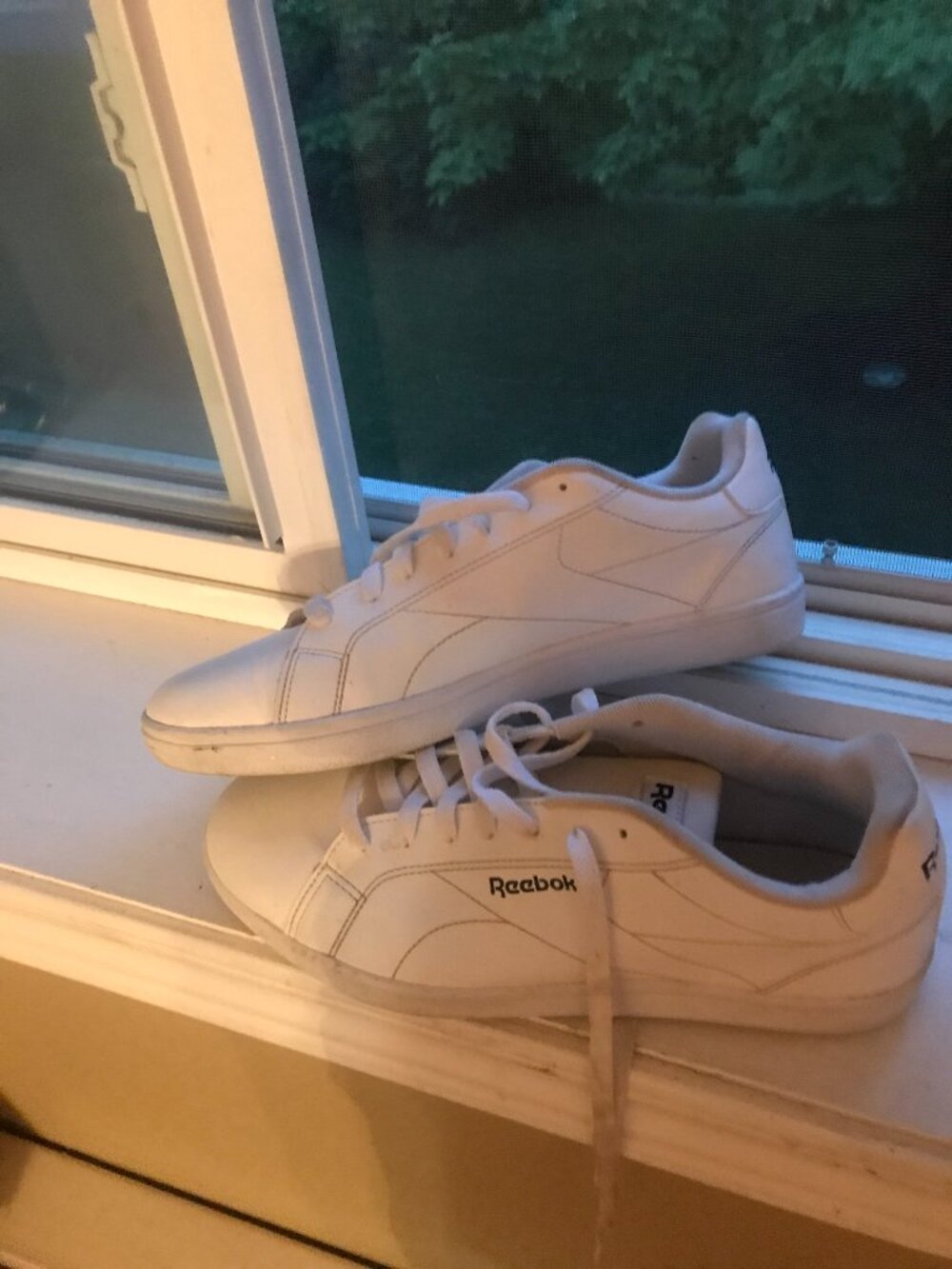 Reebok Classic Leather Runners